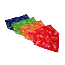 Load image into Gallery viewer, Pet bandana | Foulard pour animaux