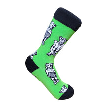 Load image into Gallery viewer, Socks (Classic) | Chaussettes (Classiques)