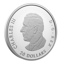 Load image into Gallery viewer, 20$ fine silver coin (Library of Parliament) | Pièce de 20$ en argent fin (Bibliothèque du Parlement)