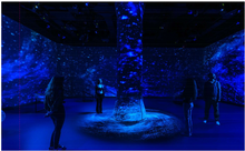 Charger l'image dans la galerie, Carnet de cartes postales (10) - Parlement : L'expérience immersive