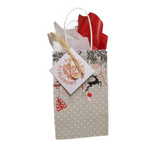 Load image into Gallery viewer, Gift bag (several options) | Sac-cadeau (plusieurs options)