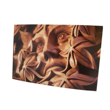 Load image into Gallery viewer, Postcards | Cartes postales