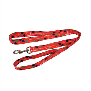 Laisse pour chien | Dog leash