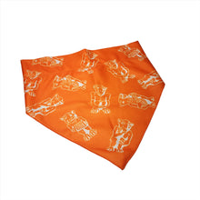 Load image into Gallery viewer, Pet bandana | Foulard pour animaux
