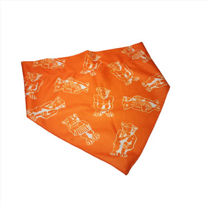 Foulard pour animaux | Pet bandana