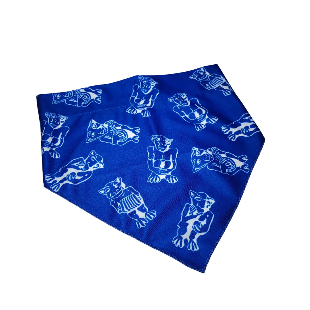 Foulard pour animaux | Pet bandana