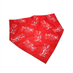 Pet bandana | Foulard pour animaux