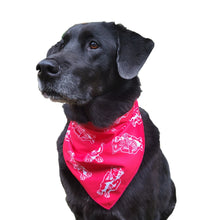 Load image into Gallery viewer, Pet bandana | Foulard pour animaux
