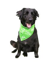 Load image into Gallery viewer, Pet bandana | Foulard pour animaux
