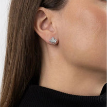 Load image into Gallery viewer, Earrings | Boucles d&#39;oreilles
