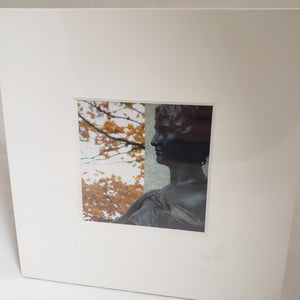 Mounted photos | Photos montées