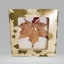 Load image into Gallery viewer, Nature&#39;s Gold maple leaves | Feuilles d&#39;érable Nature&#39;s Gold
